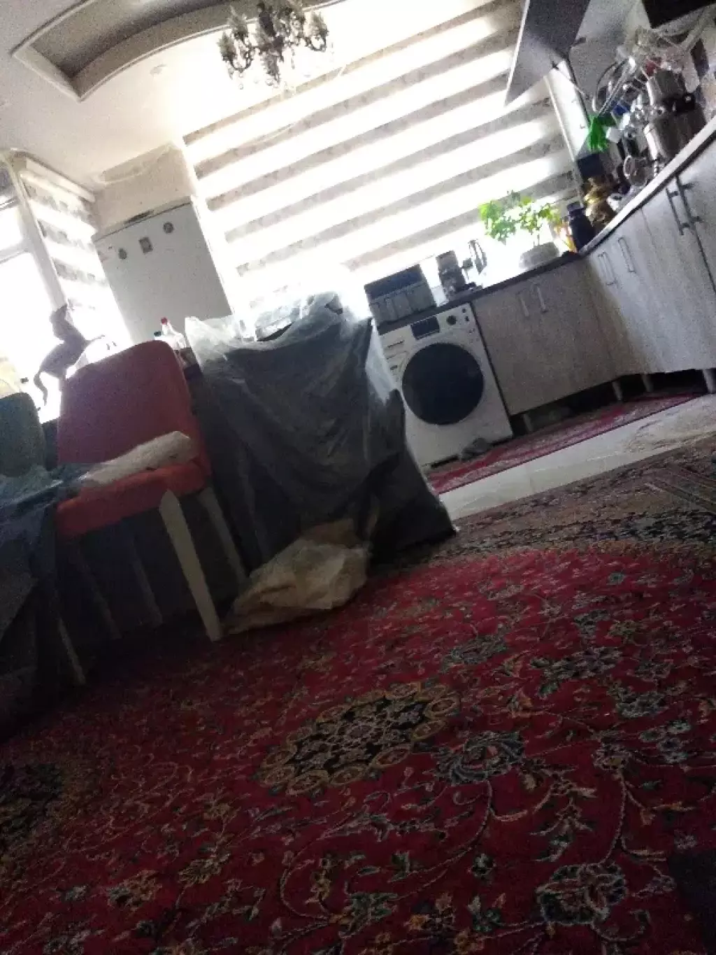 اجاره آپارتمان 68 متری در آهنگ