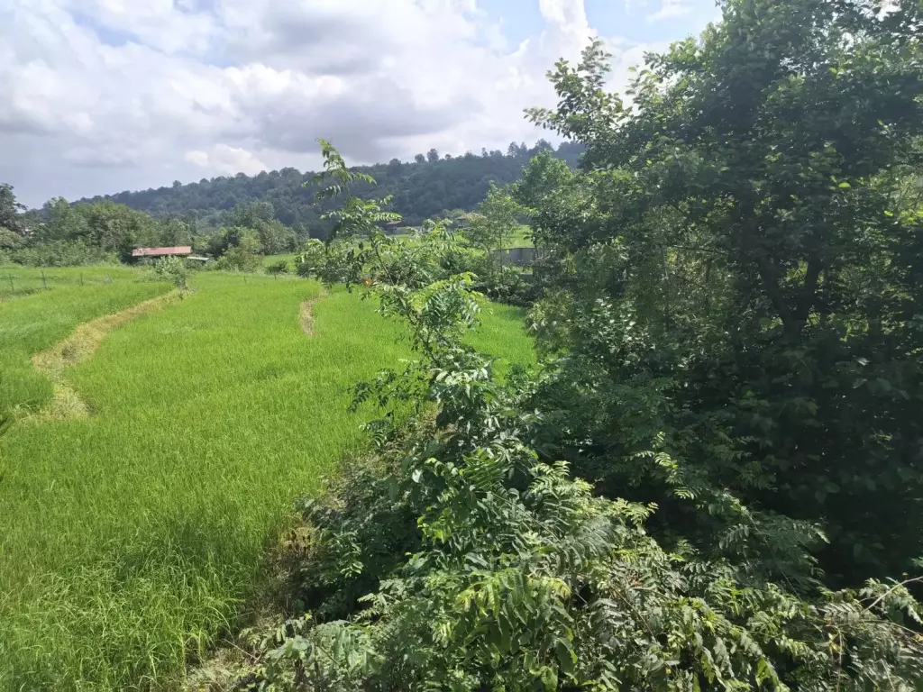 فروش خانه و ویلا 240 متری در آسمان - تصویر 3