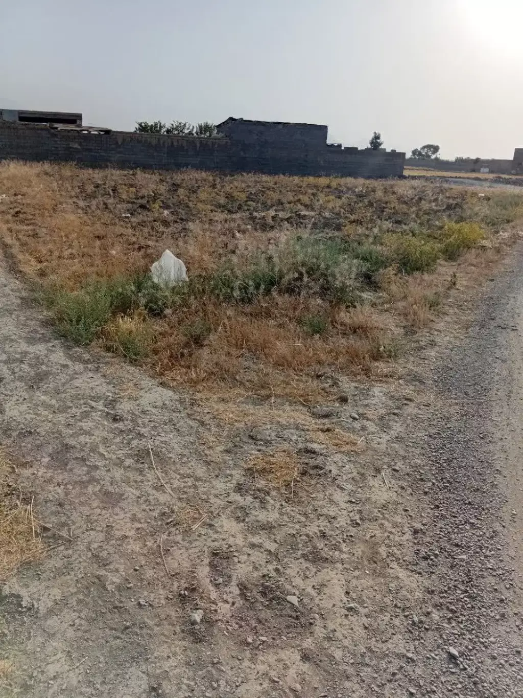 فروش اداری و تجاری 1250 متری در جردن - تصویر 2