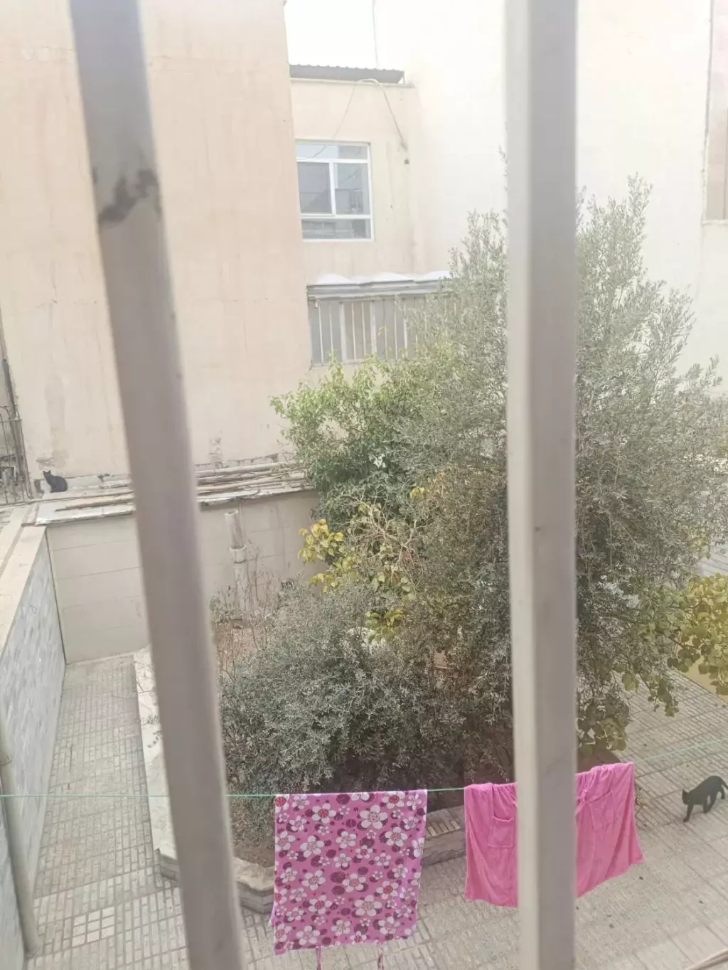 فروش زمین و کلنگی 200 متری در زیبادشت - تصویر 4