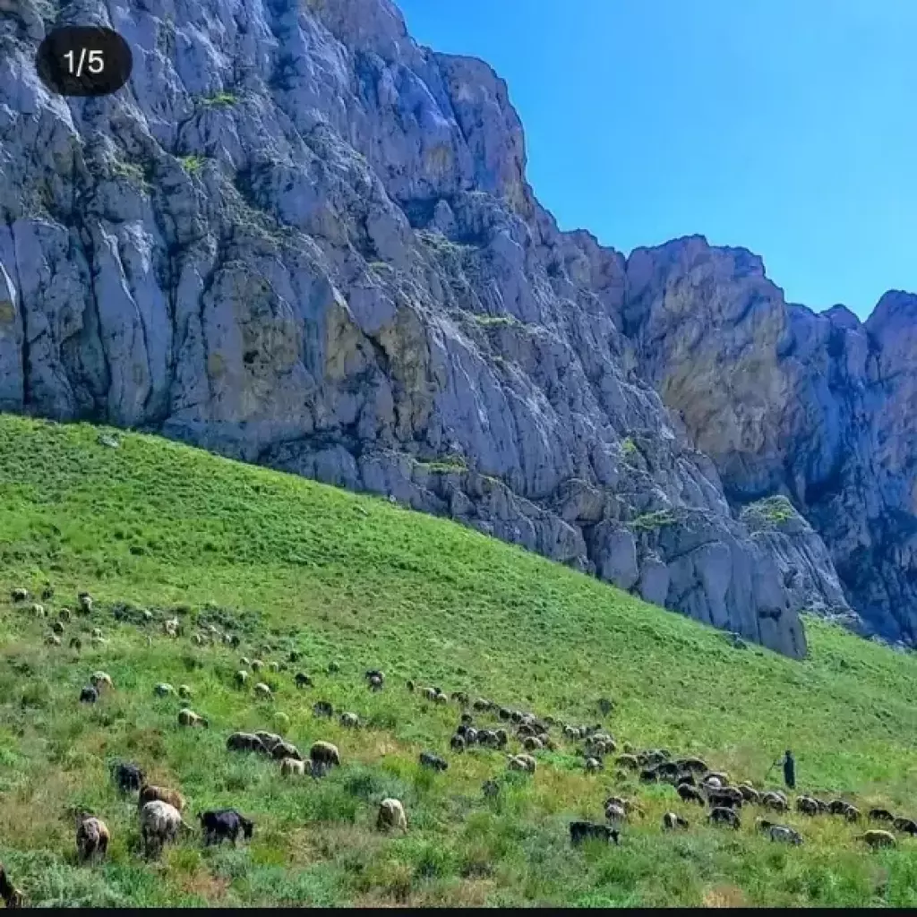 فروش خانه و ویلا 616 متری در فردوسی - تصویر 2