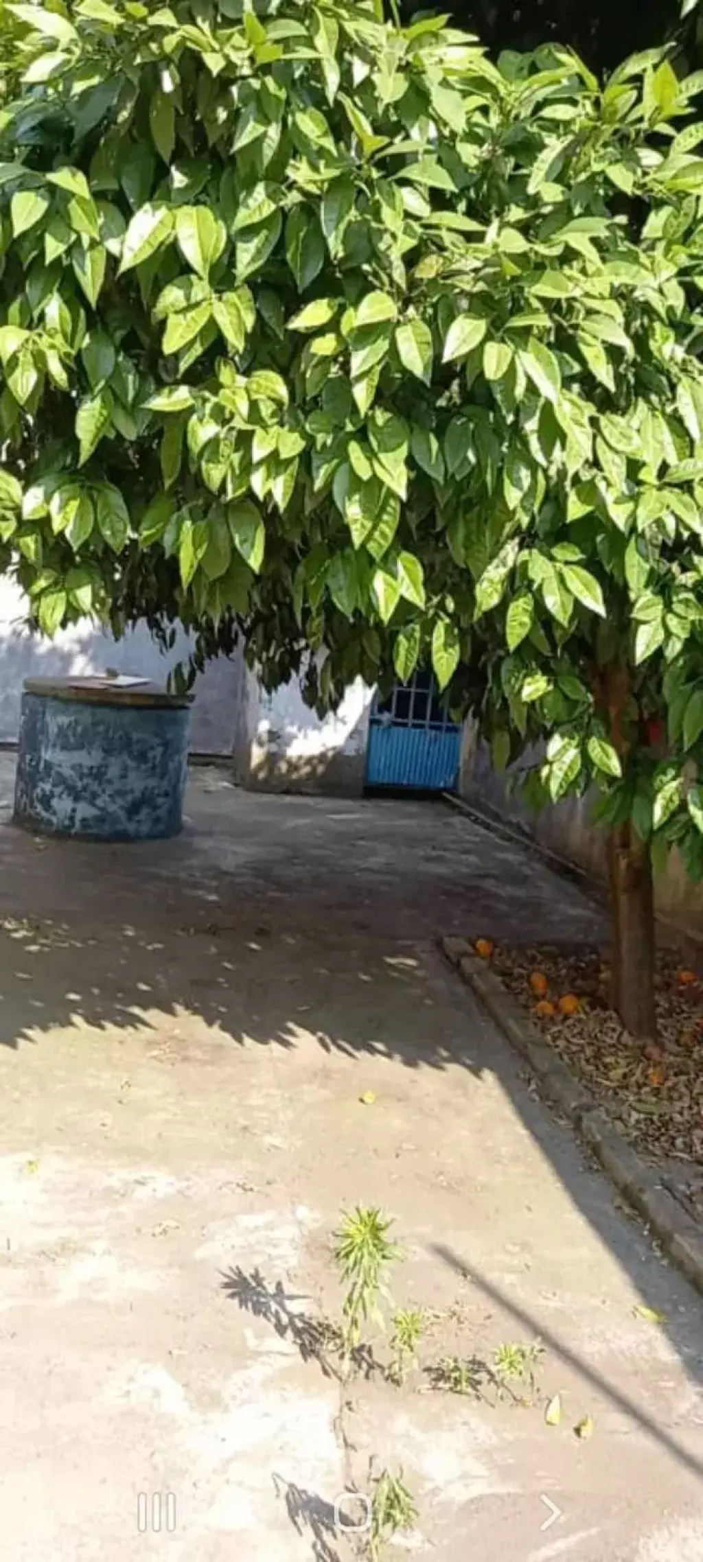فروش خانه و ویلا 251 متری در فدک - تصویر 8