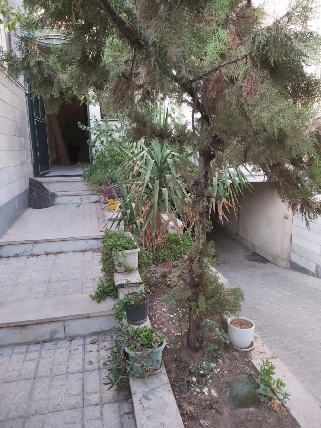 اجاره آپارتمان 45 متری در شارق - تصویر 2