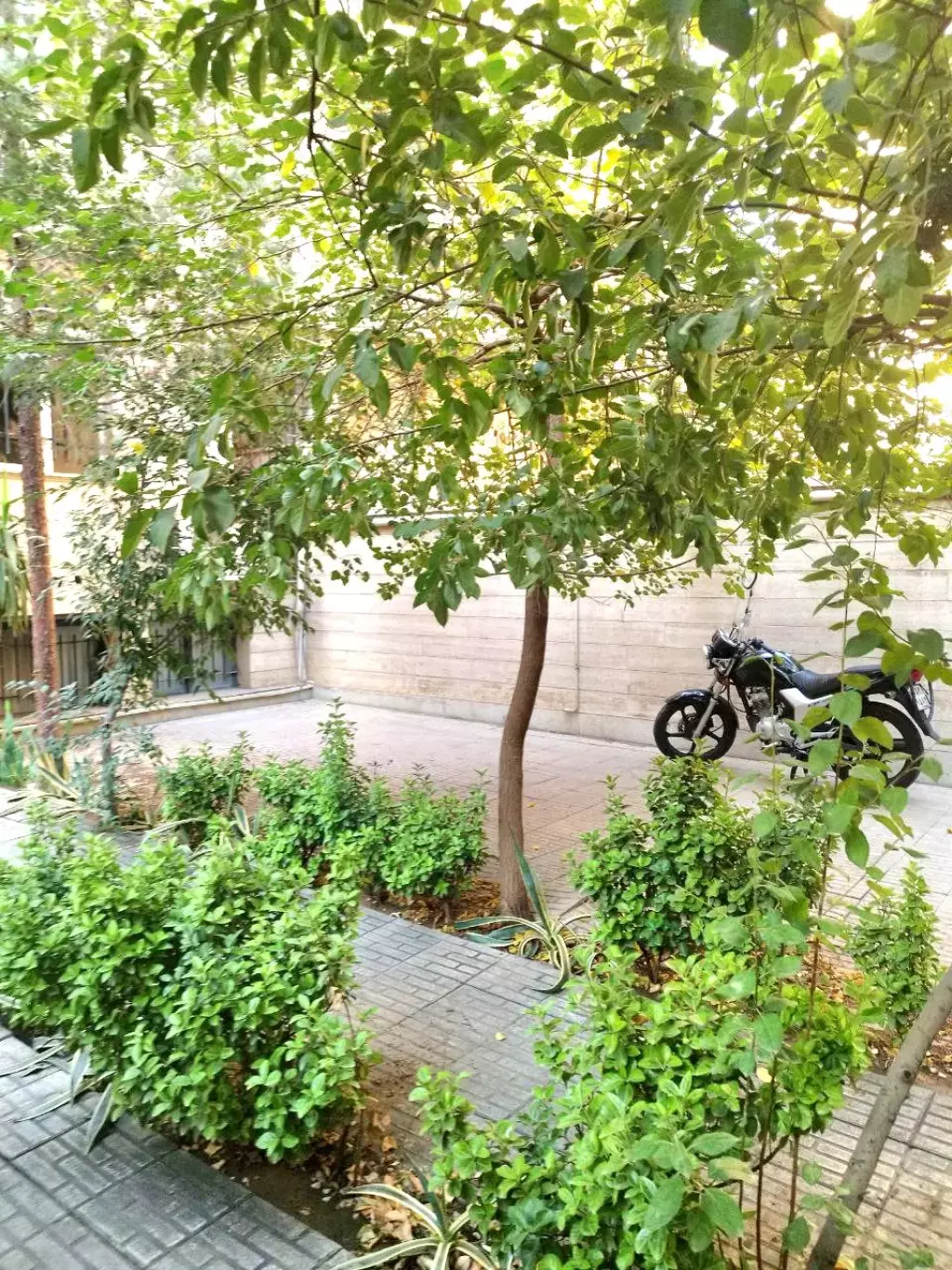 اجاره آپارتمان 70 متری در سهروردی - تصویر 6