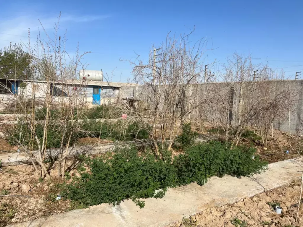 فروش خانه و ویلا 1000 متری در سعادت‌آباد - تصویر 5