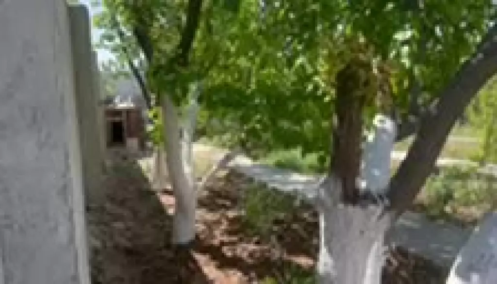 فروش خانه و ویلا 1000 متری در سعادتآباد