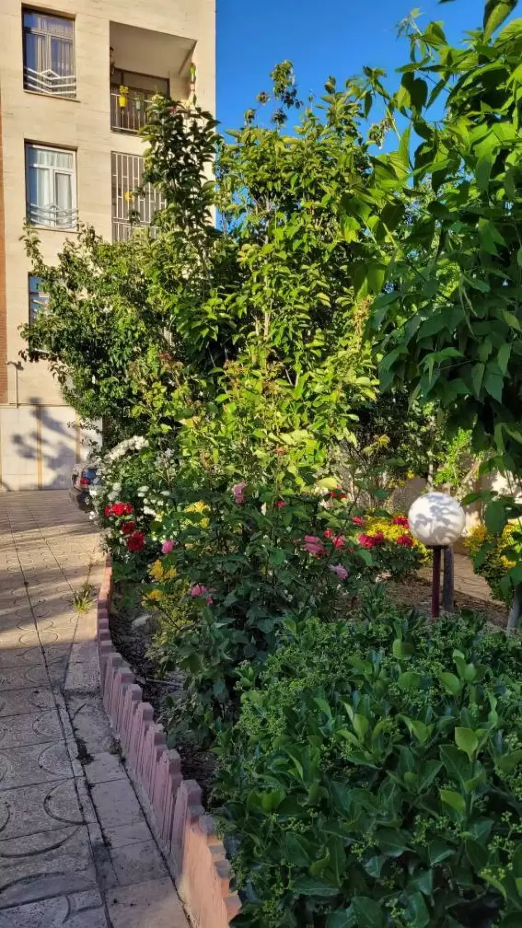 اجاره آپارتمان 67 متری در استاد معین - تصویر 9