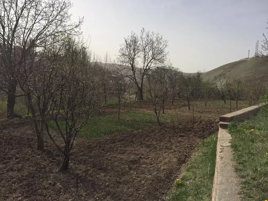 فروش زمین و کلنگی 1700 متری در ازگل - تصویر 6