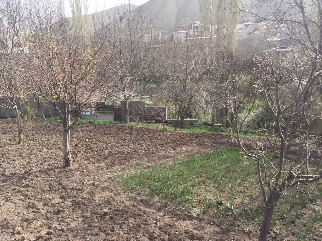 فروش زمین و کلنگی 1700 متری در ازگل - تصویر 3