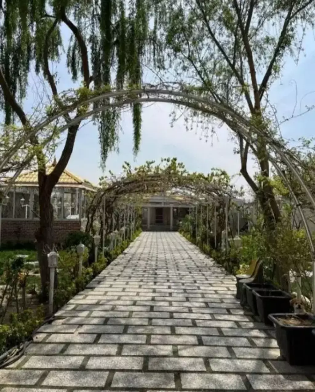 اجاره خانه و ویلا 966 متری در نصرت - تصویر 15