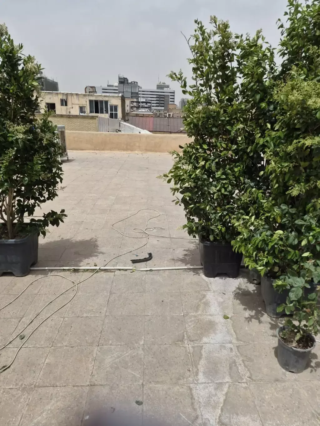 اجاره اداری و تجاری 275 متری در شیخ هادی - تصویر 6