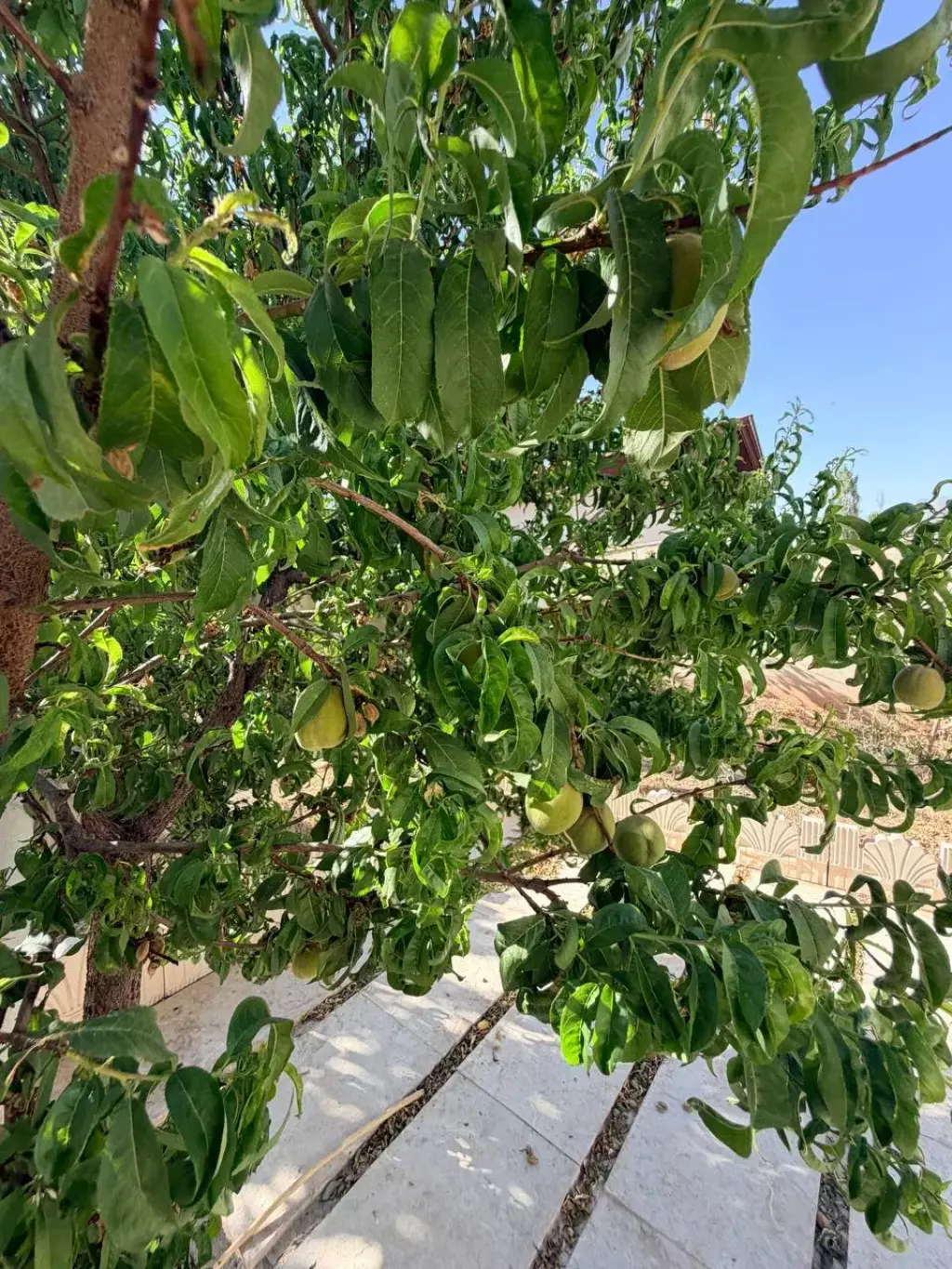 فروش خانه و ویلا 600 متری در تهرانپارس غربی - تصویر 3