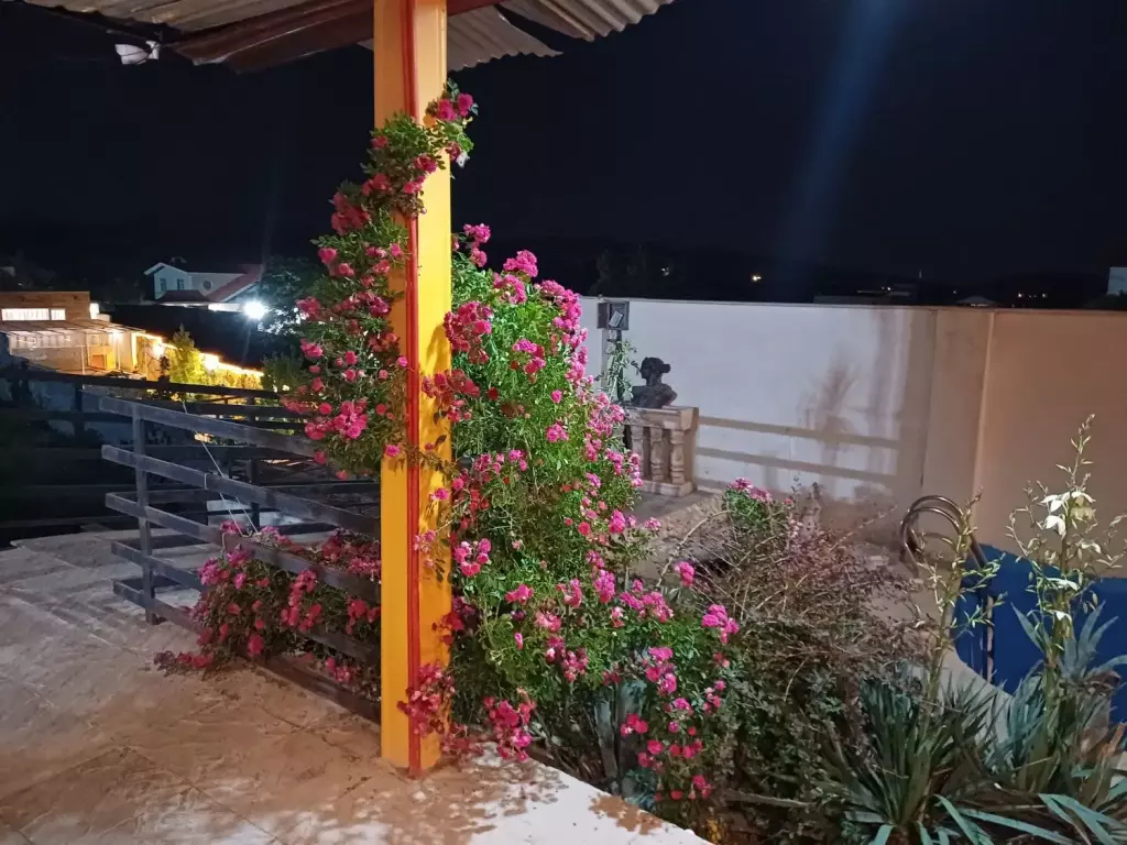 اجاره خانه و ویلا 500 متری در تهرانپارس شرقی - تصویر 3
