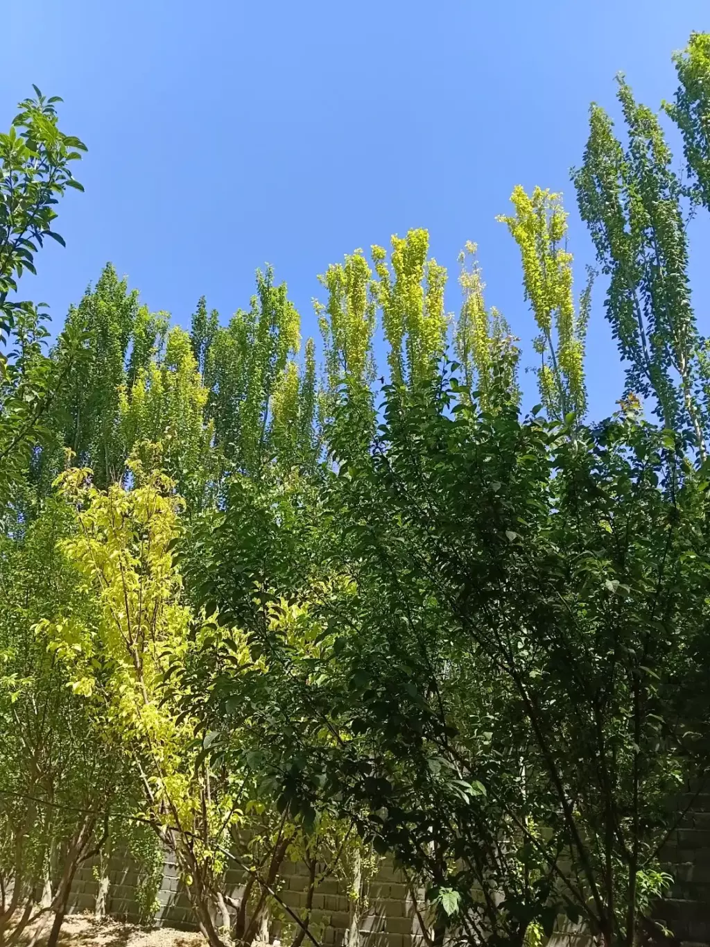 فروش اداری و تجاری 508 متری در والفجر (افسریه) - تصویر 2