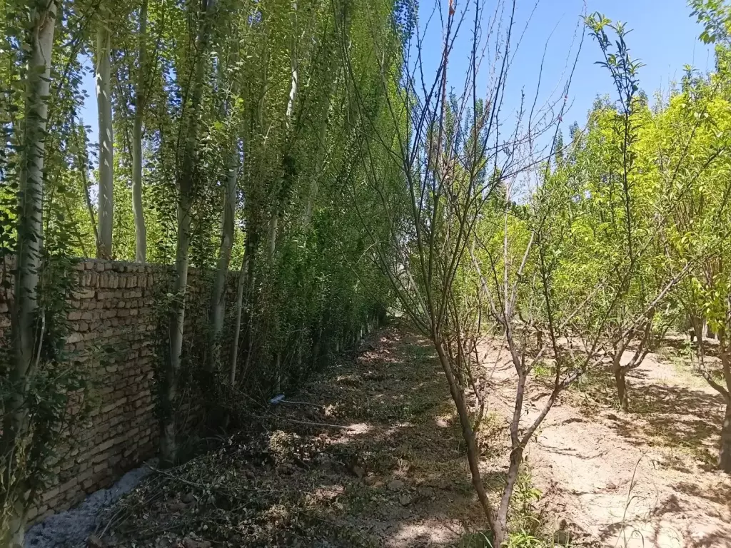 فروش اداری و تجاری 508 متری در والفجر (افسریه) - تصویر 3