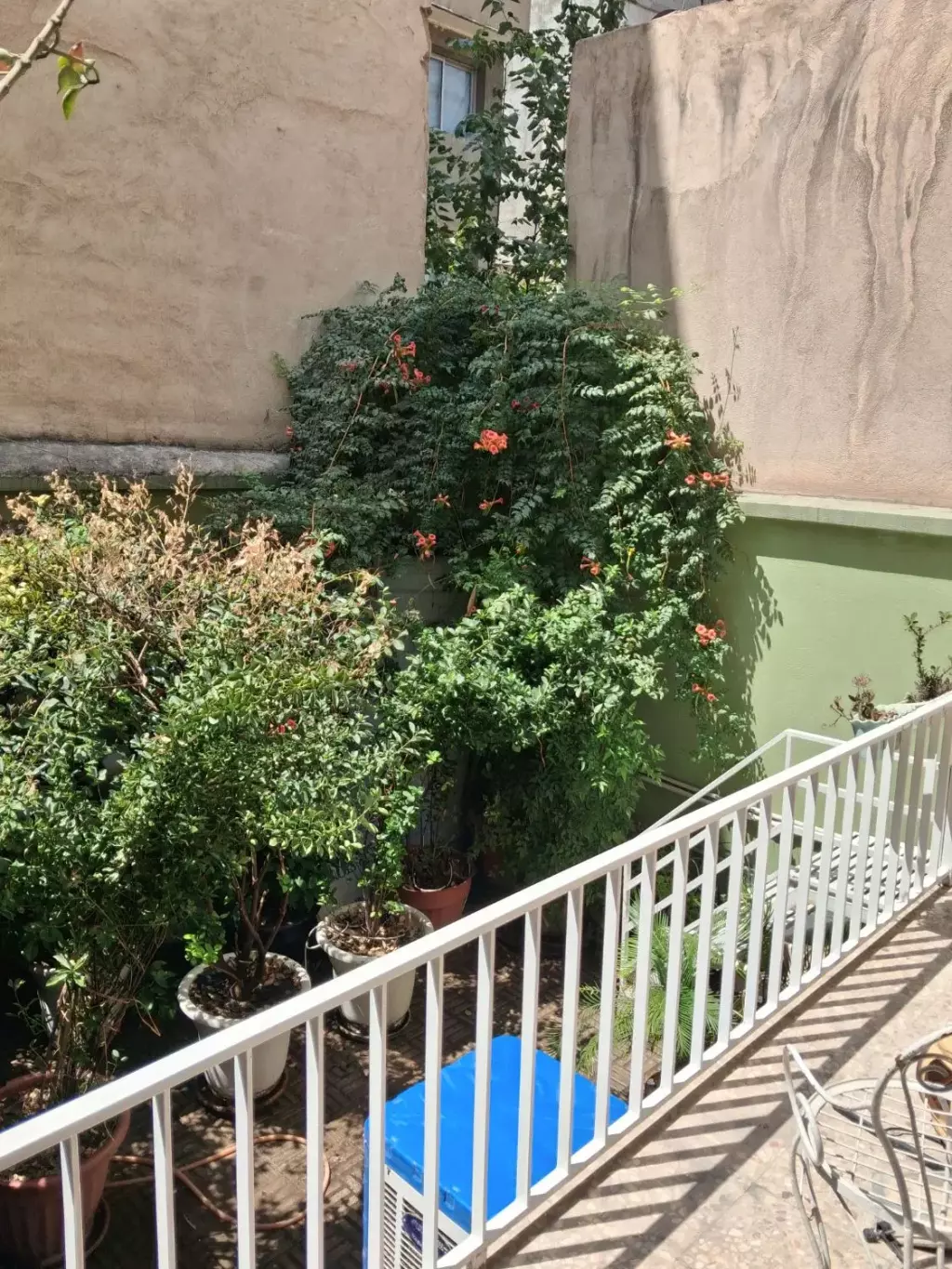 اجاره آپارتمان 55 متری در ارامنه - تصویر 3