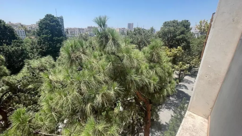 اجاره آپارتمان 134 متری در آرژانتین - تصویر 7