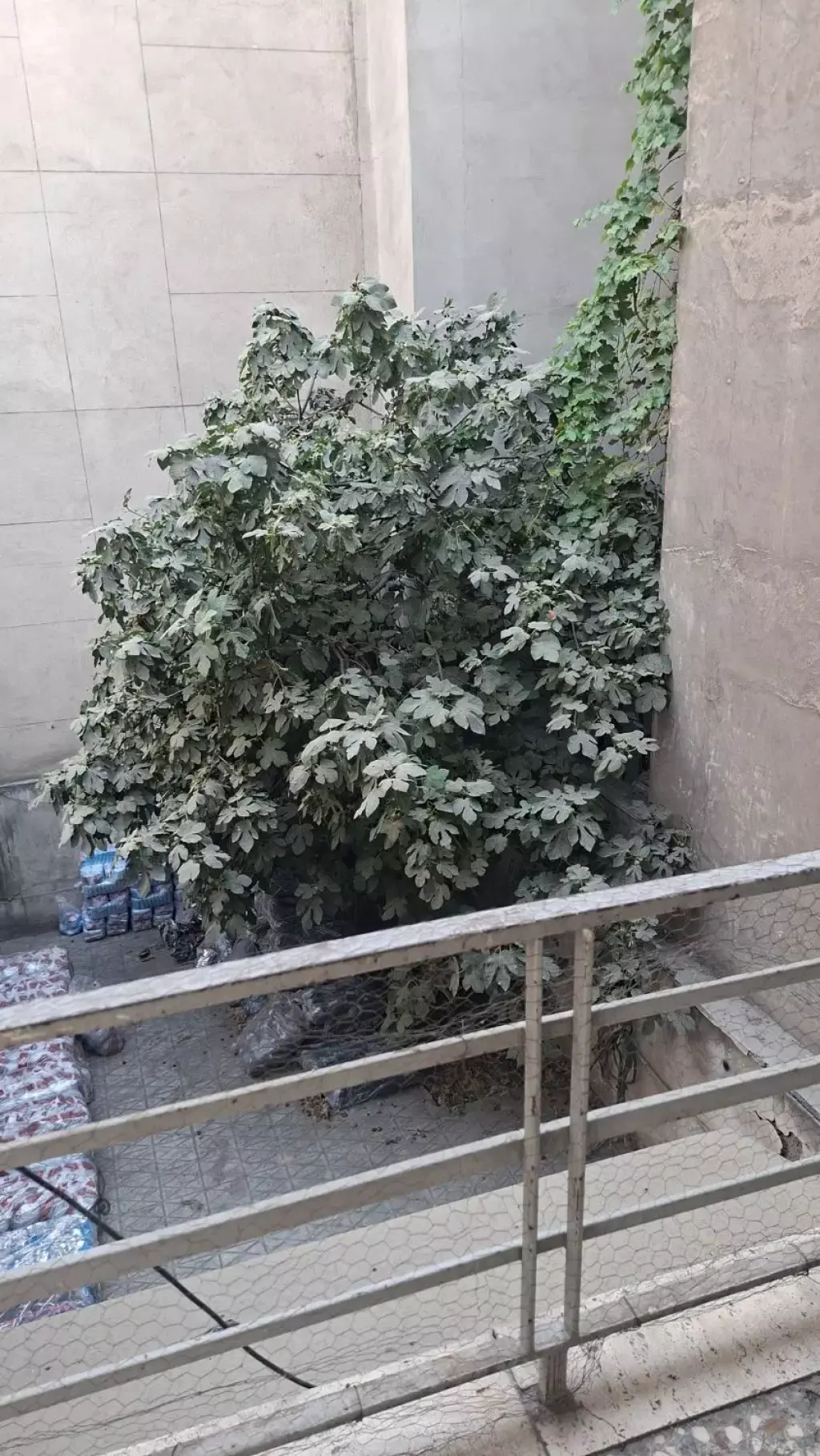 اجاره اداری و تجاری 17 متری در زنجان جنوبی