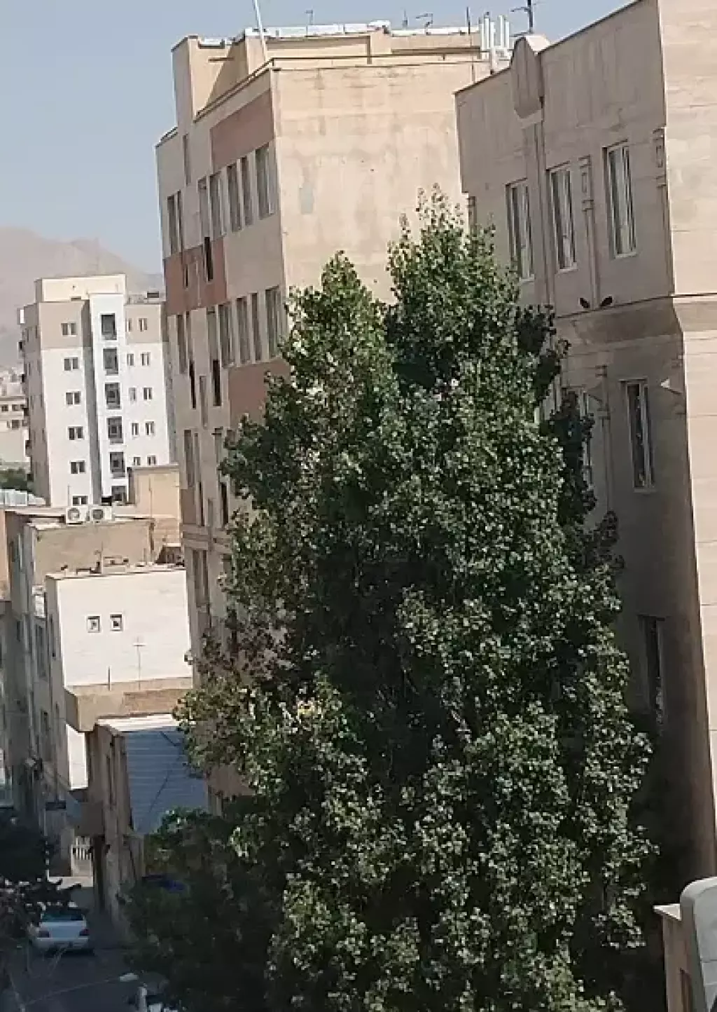 اجاره اداری و تجاری 80 متری در مینابی