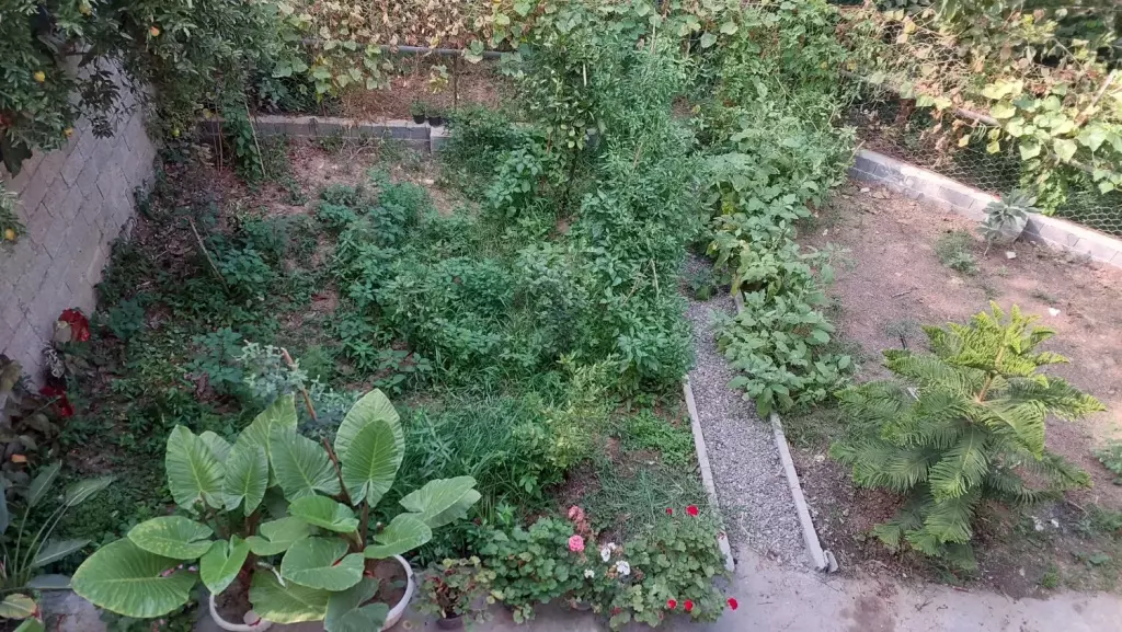 فروش خانه و ویلا 360 متری در سردارجنگل - تصویر 17
