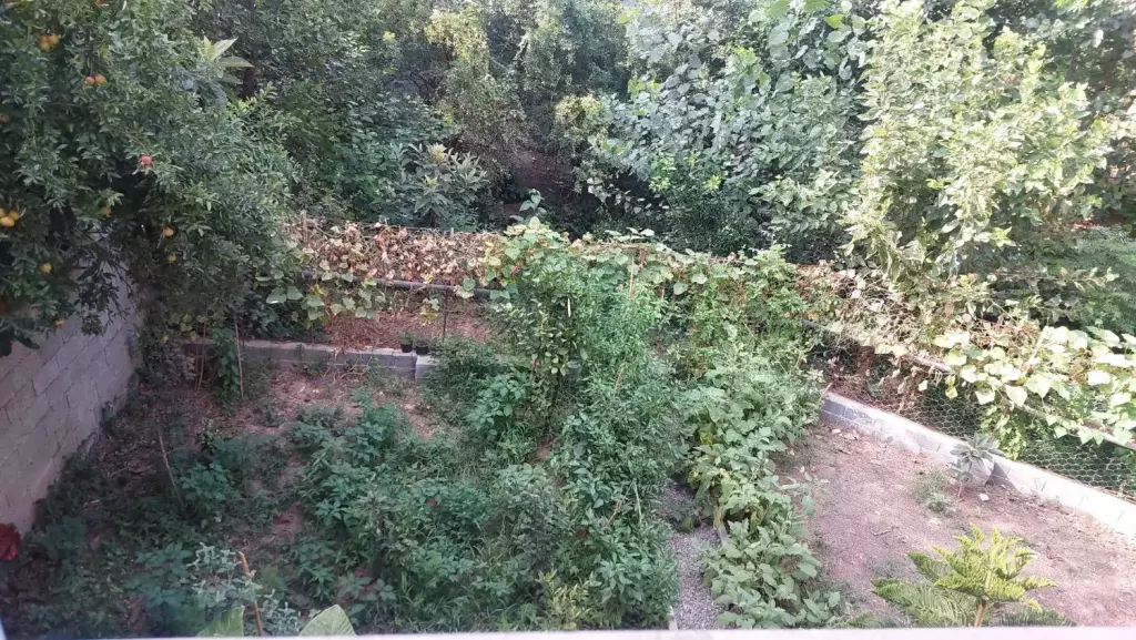 فروش خانه و ویلا 360 متری در سردارجنگل - تصویر 15