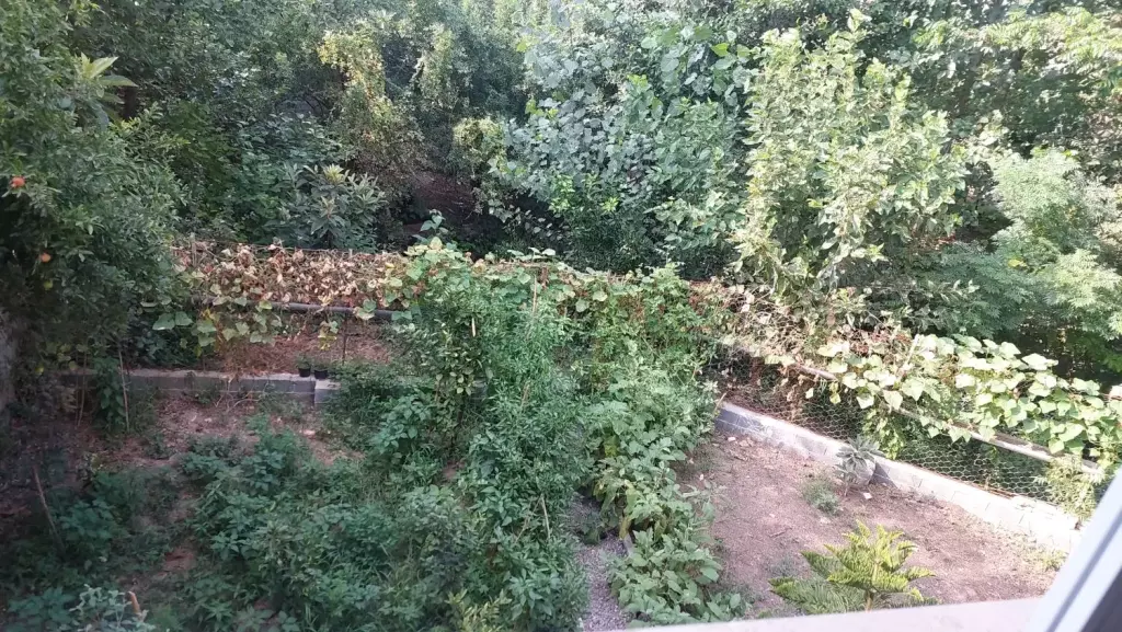 فروش خانه و ویلا 360 متری در سردارجنگل - تصویر 16
