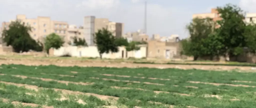 فروش زمین و کلنگی 15000 متری در سیزده آبان - تصویر 4