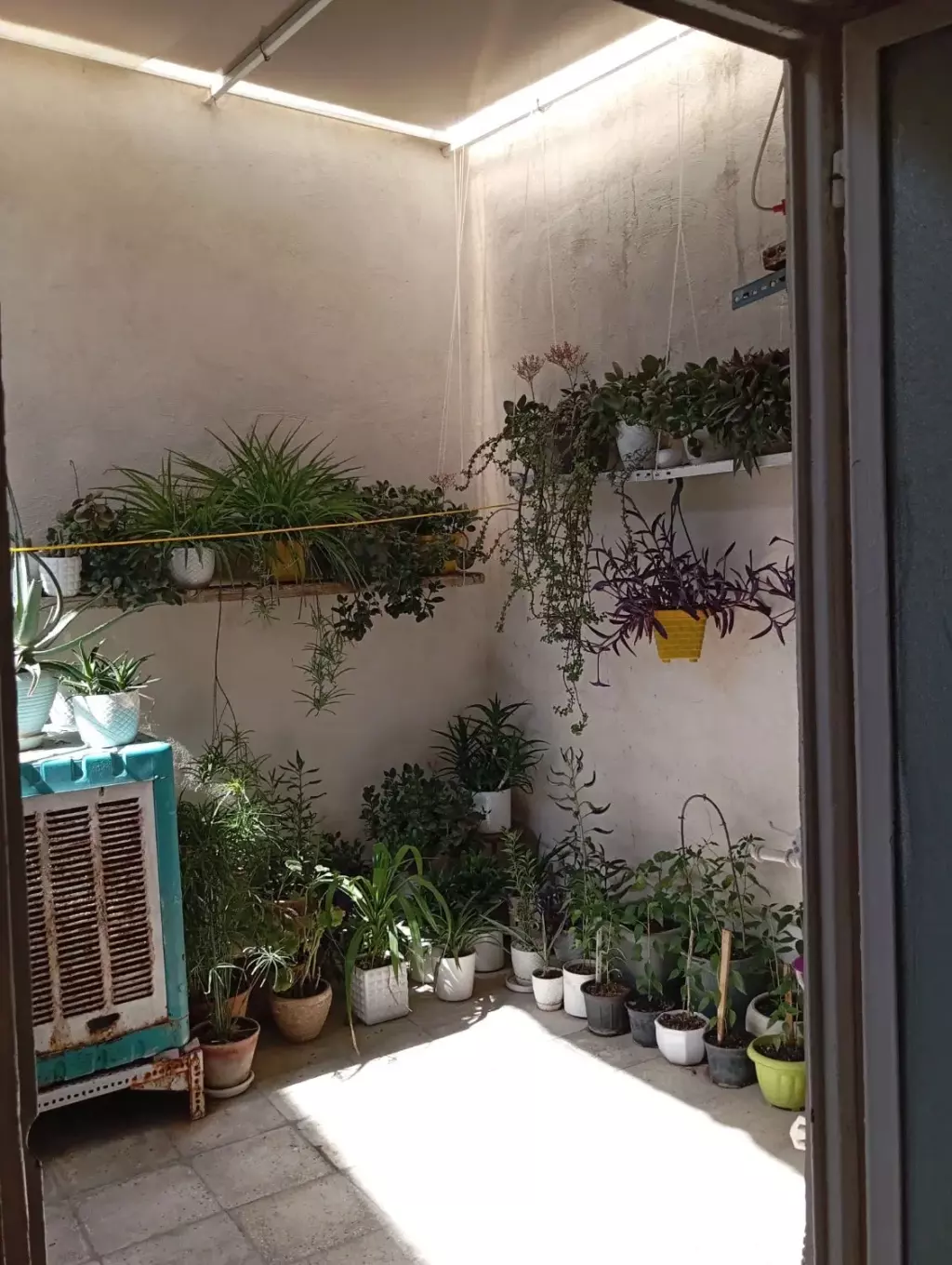 فروش خانه و ویلا 50 متری در نعمت‌آباد - تصویر 4