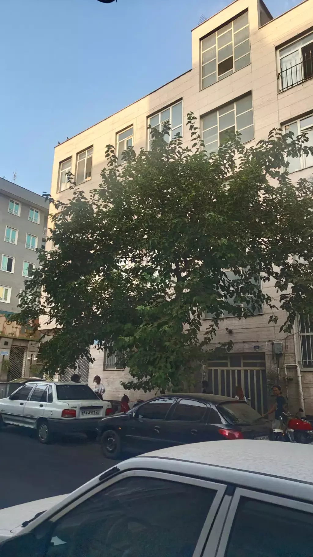 اجاره آپارتمان 136 متری در شیخ هادی - تصویر 14