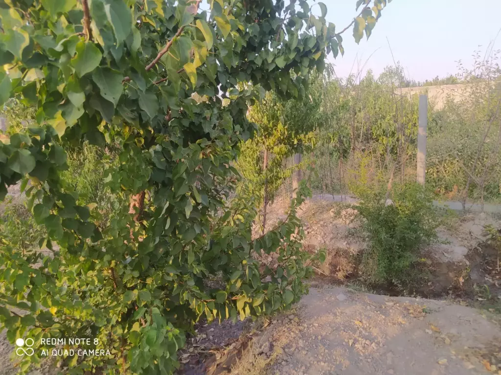 فروش زمین و کلنگی 575 متری در صاحب الزمان - تصویر 3