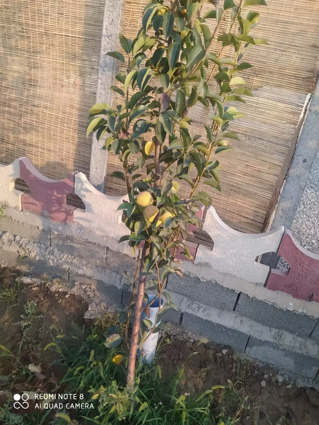 فروش زمین و کلنگی 575 متری در صاحب الزمان - تصویر 4