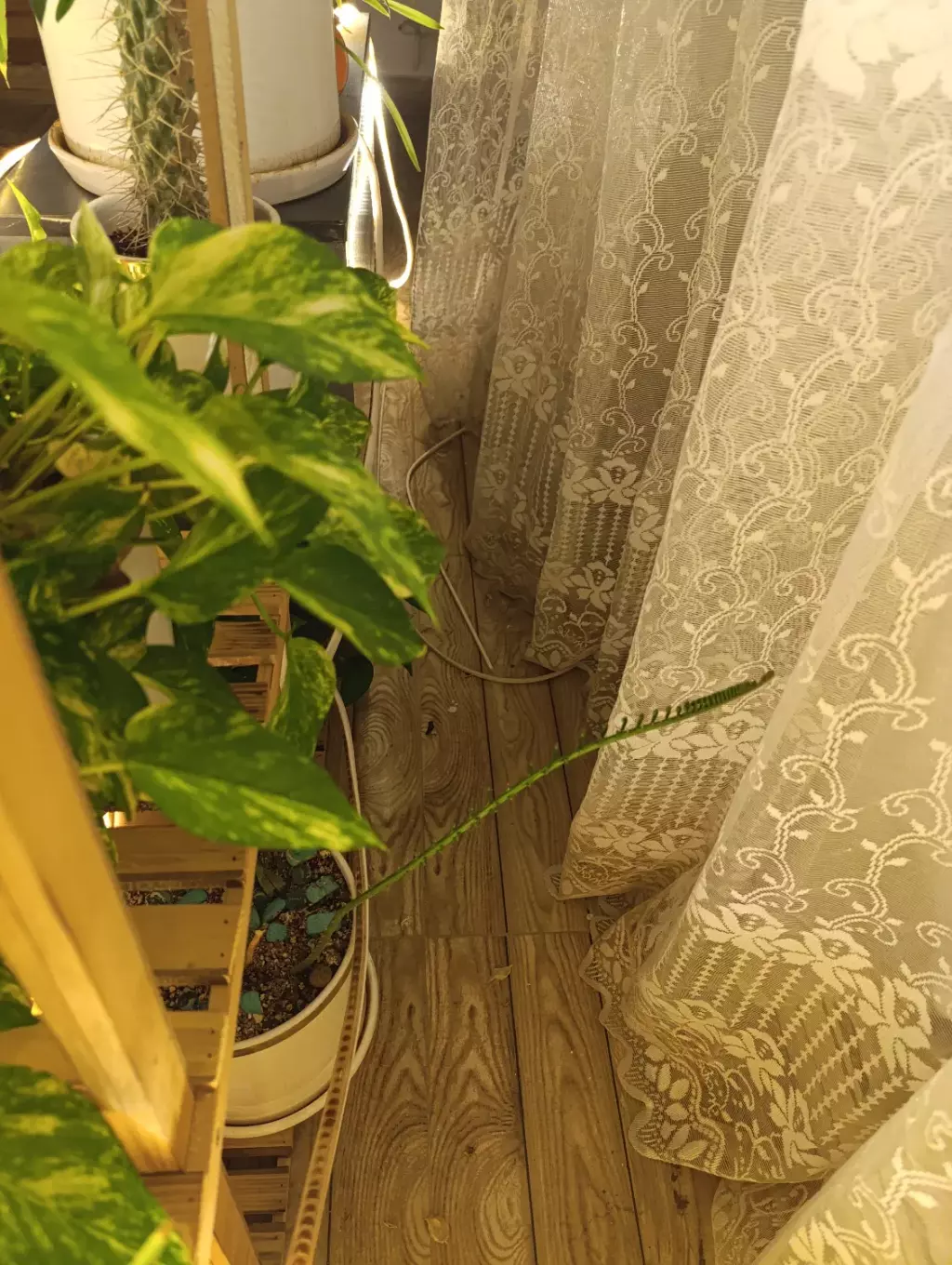 اجاره آپارتمان 58 متری در خواجه نصیر طوسی