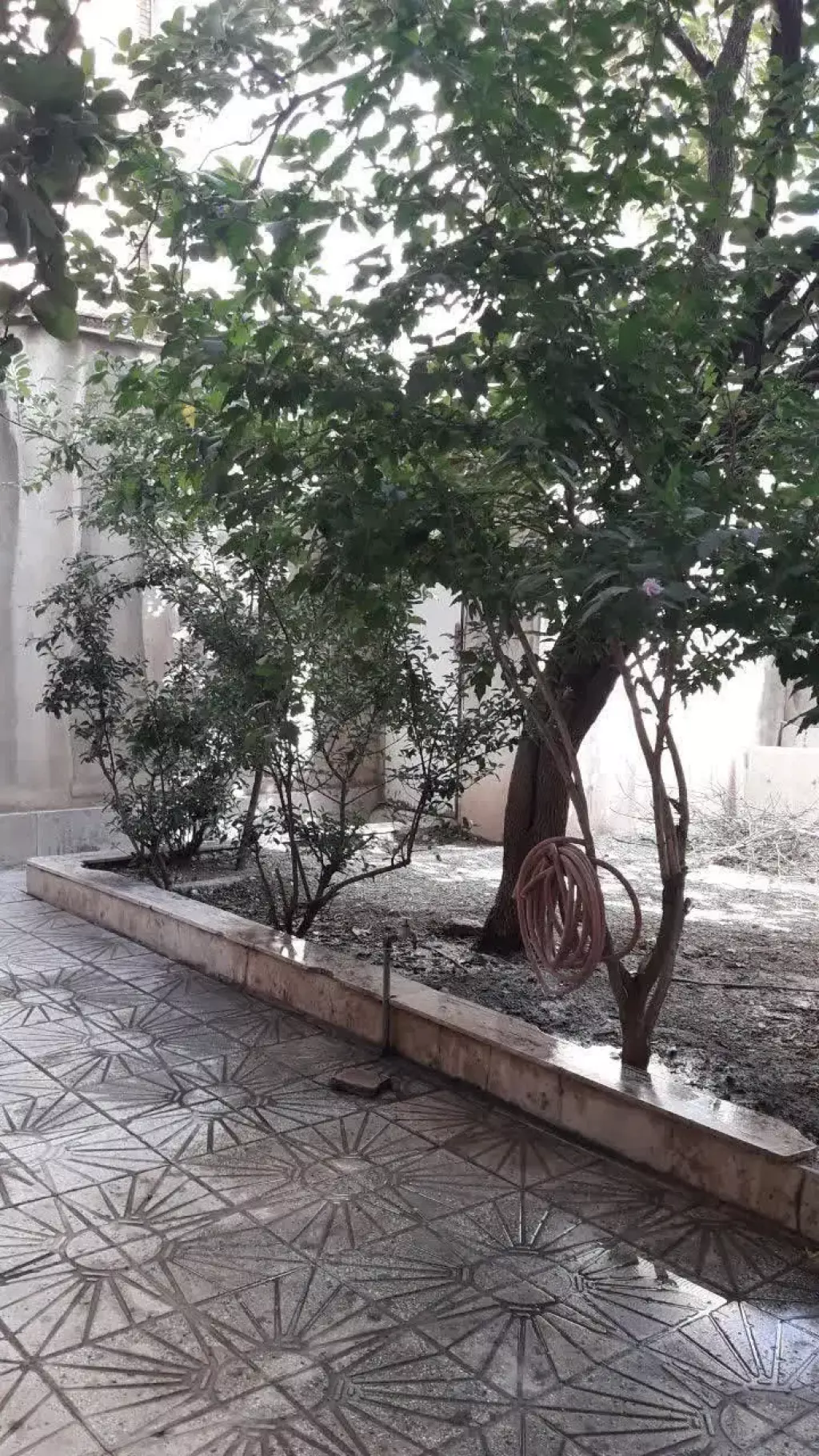 اجاره آپارتمان 54 متری در کرمان - تصویر 10
