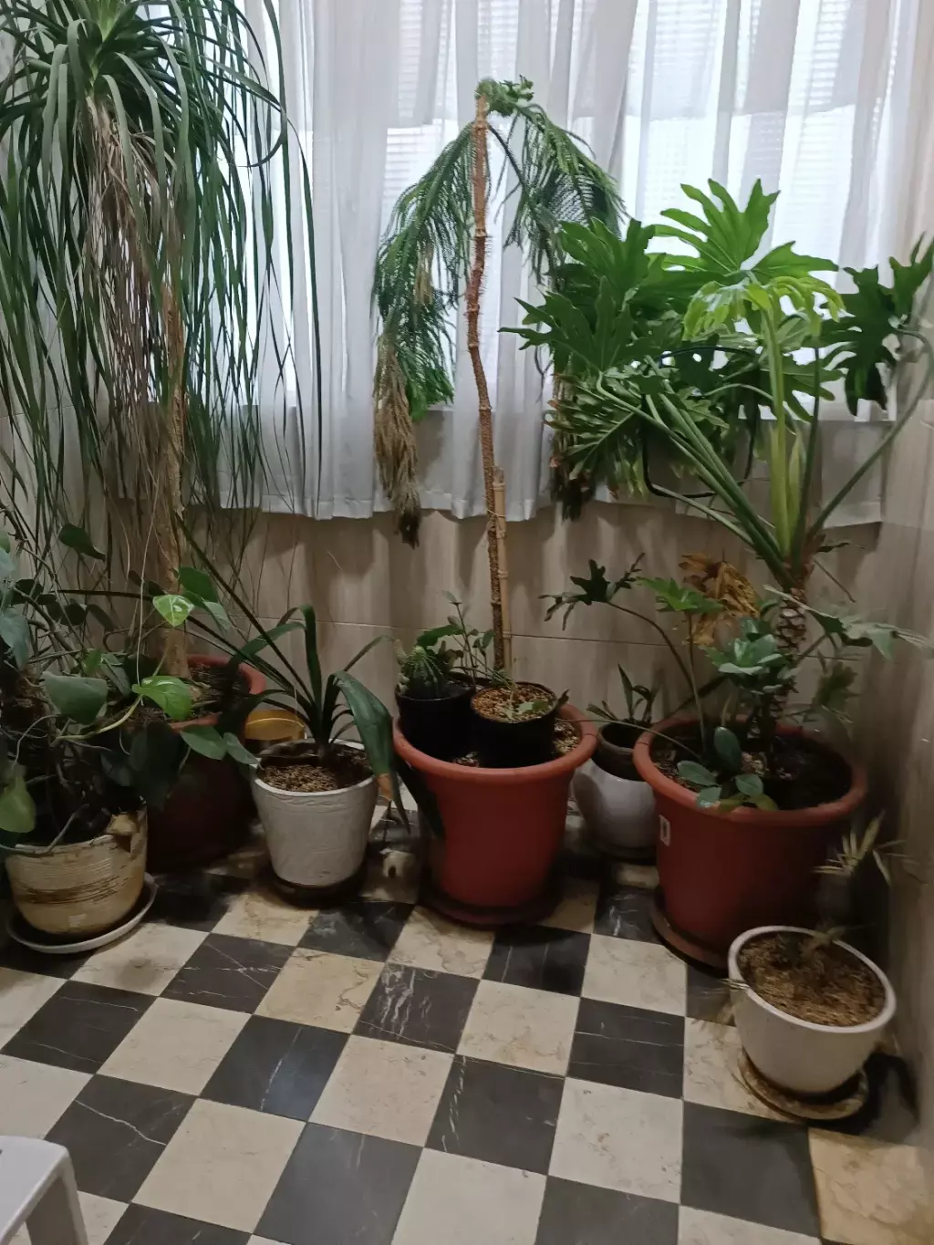 اجاره آپارتمان 100 متری در نارمک - تصویر 6