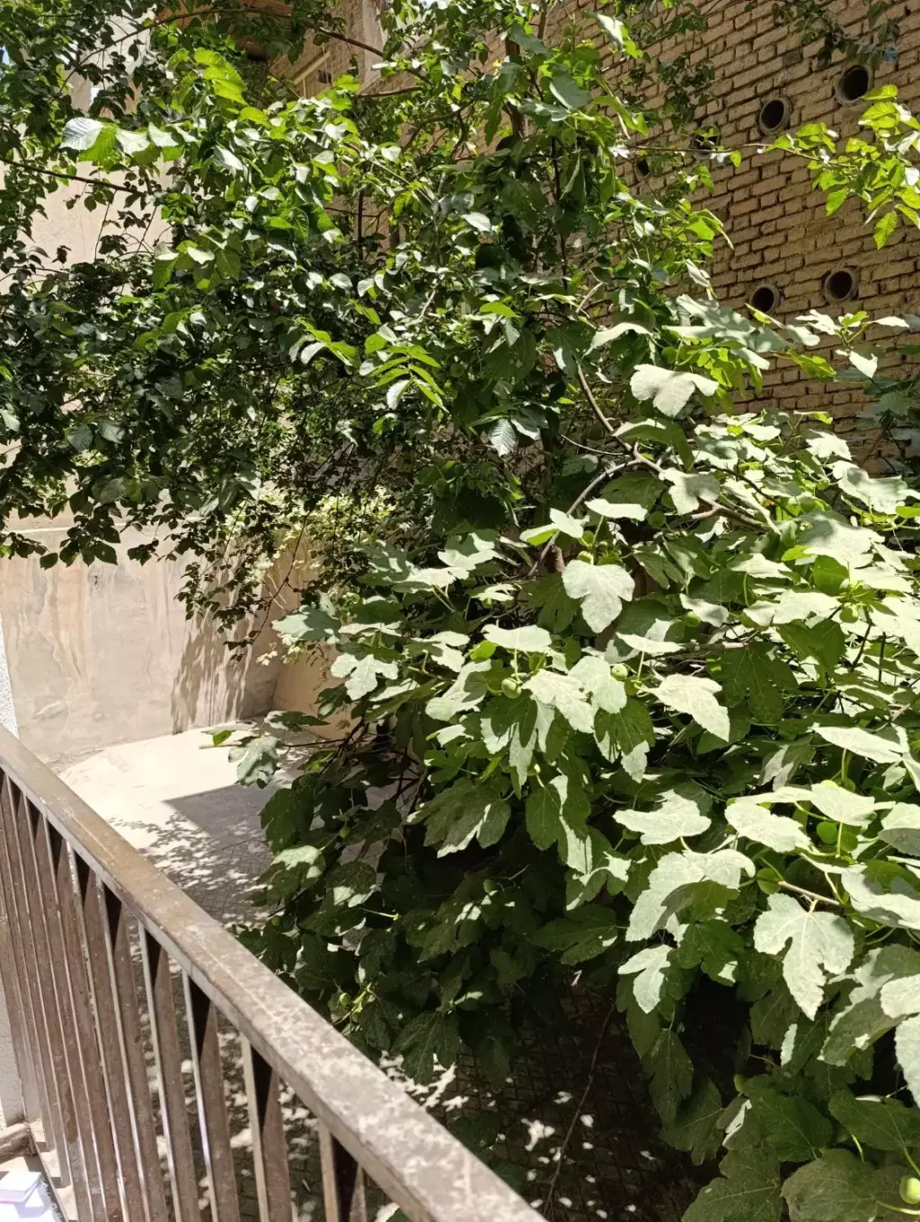 فروش آپارتمان 62 متری در سلیمانی - تصویر 12