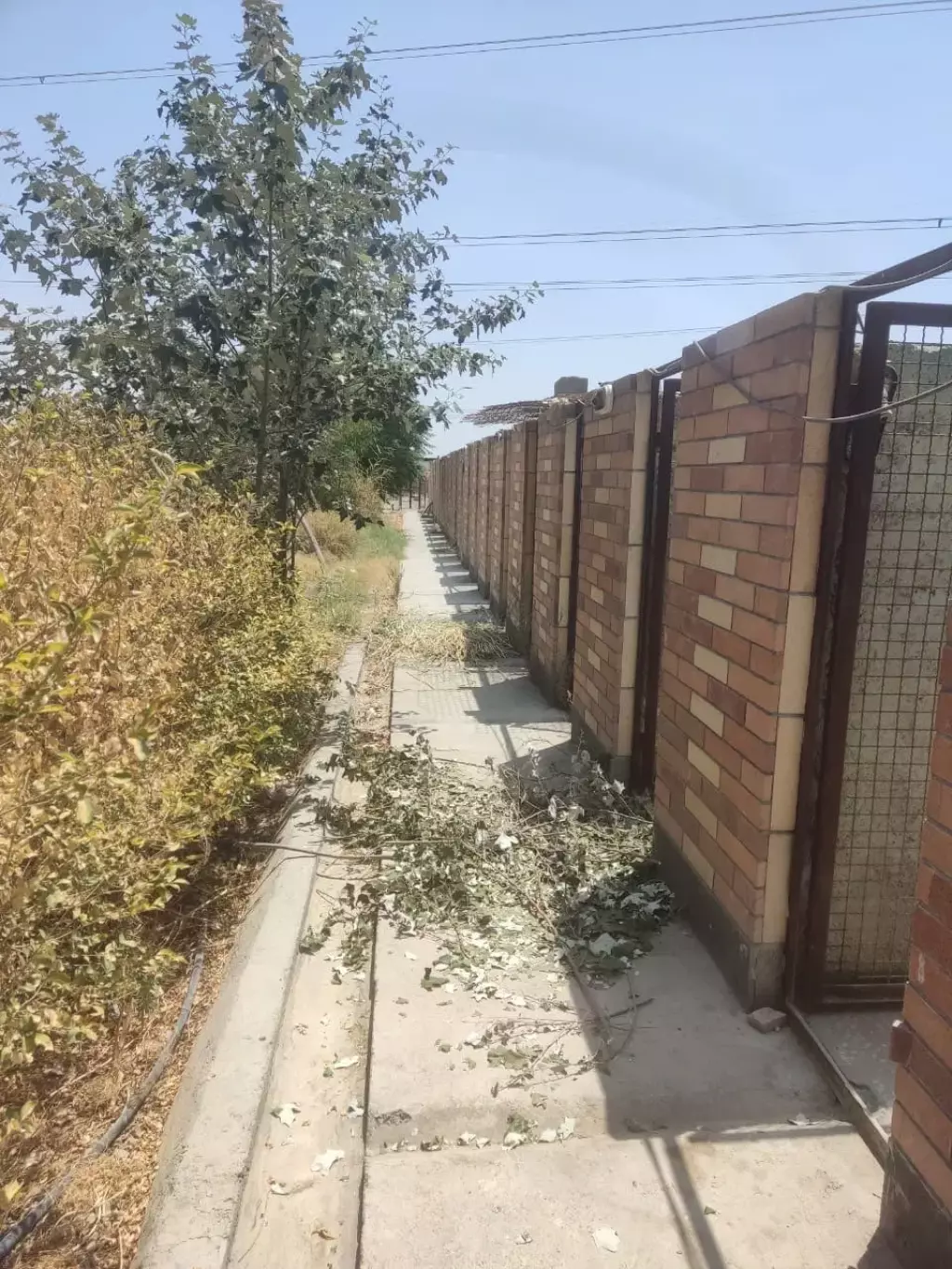 اجاره اداری و تجاری 3000 متری در تهرانسر شرقی - تصویر 3