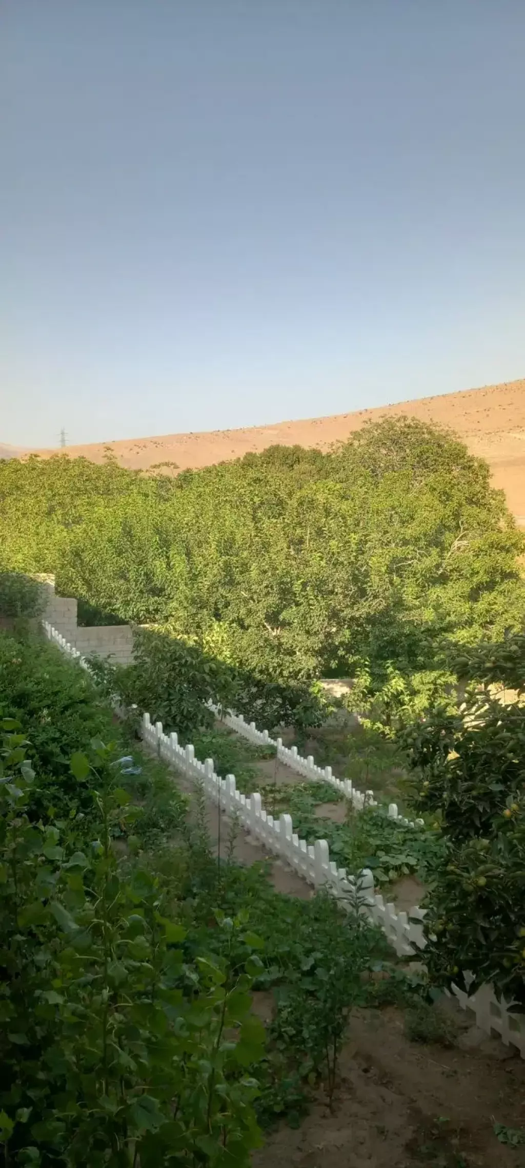 فروش خانه و ویلا 1150 متری در میدان میوه و تره‌بار مرکزی - تصویر 3