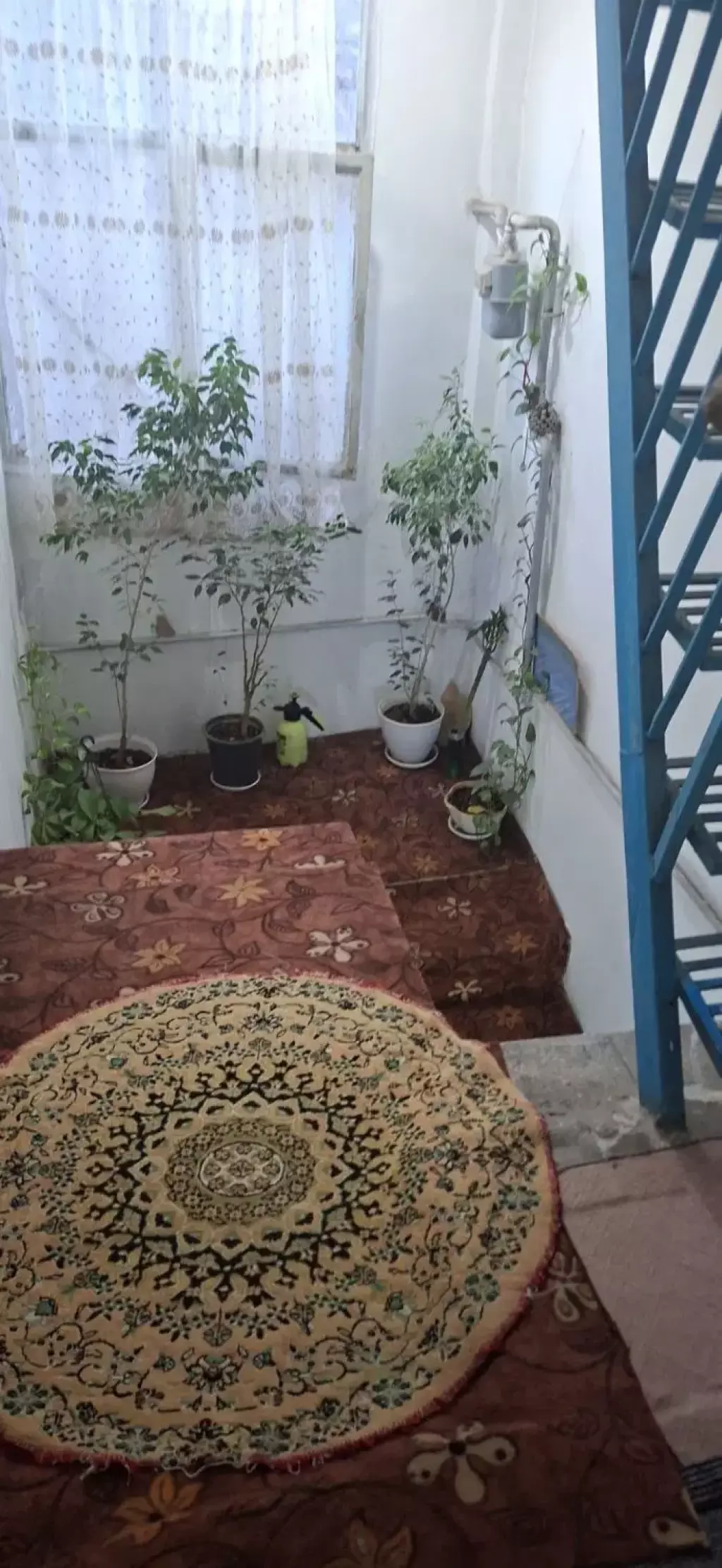 اجاره خانه و ویلا 75 متری در عباسی