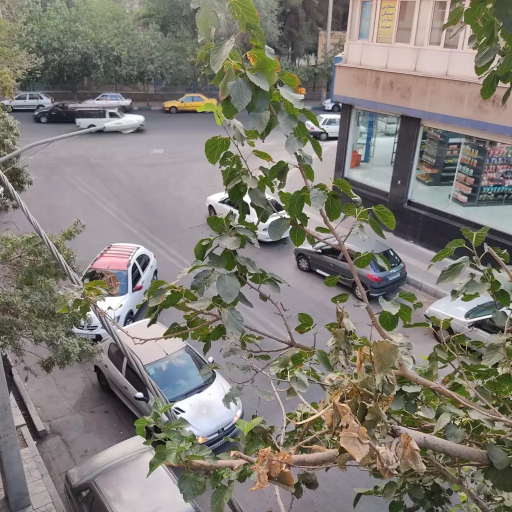 اجاره آپارتمان 55 متری در یاخجی آباد - تصویر 9