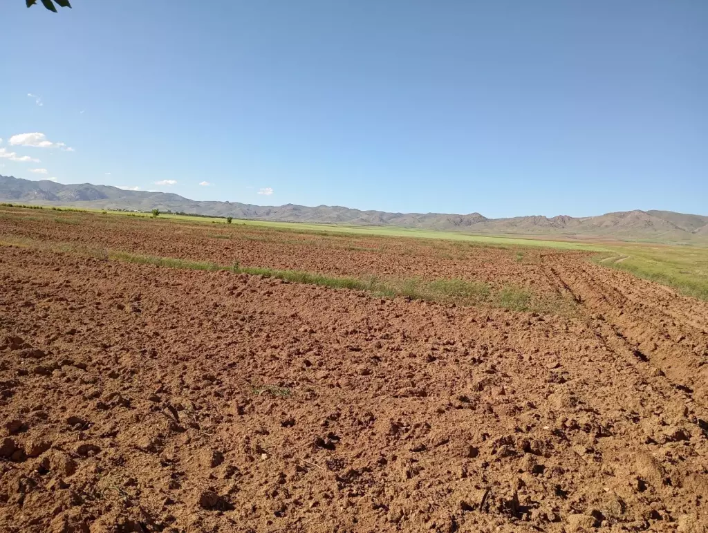 فروش اداری و تجاری 75000 متری در جنت‌آباد مرکزی - تصویر 7