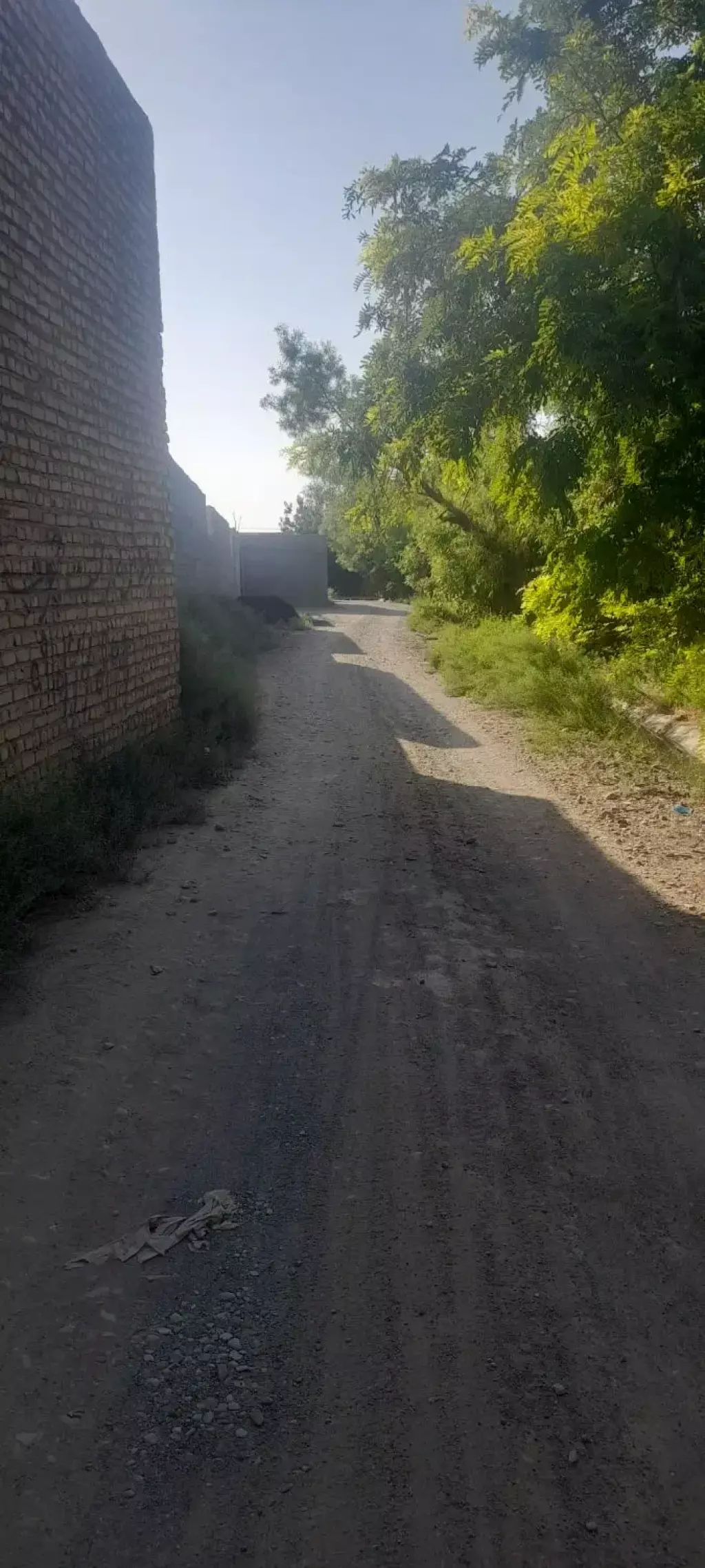 فروش اداری و تجاری 2800 متری در شارق - تصویر 3
