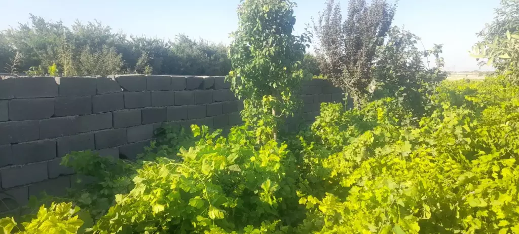 فروش اداری و تجاری 2800 متری در شارق - تصویر 7