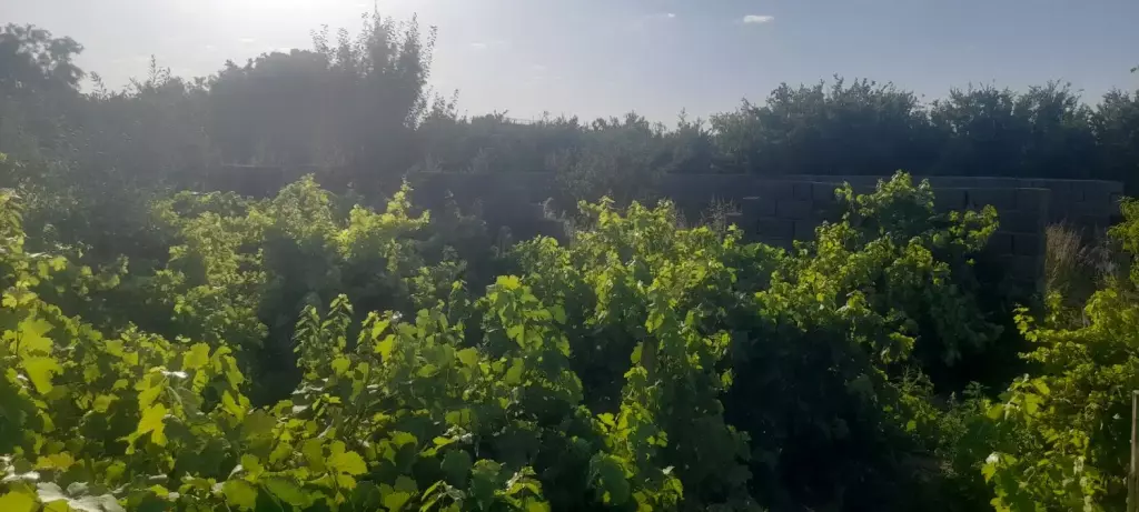 فروش اداری و تجاری 2800 متری در شارق - تصویر 11