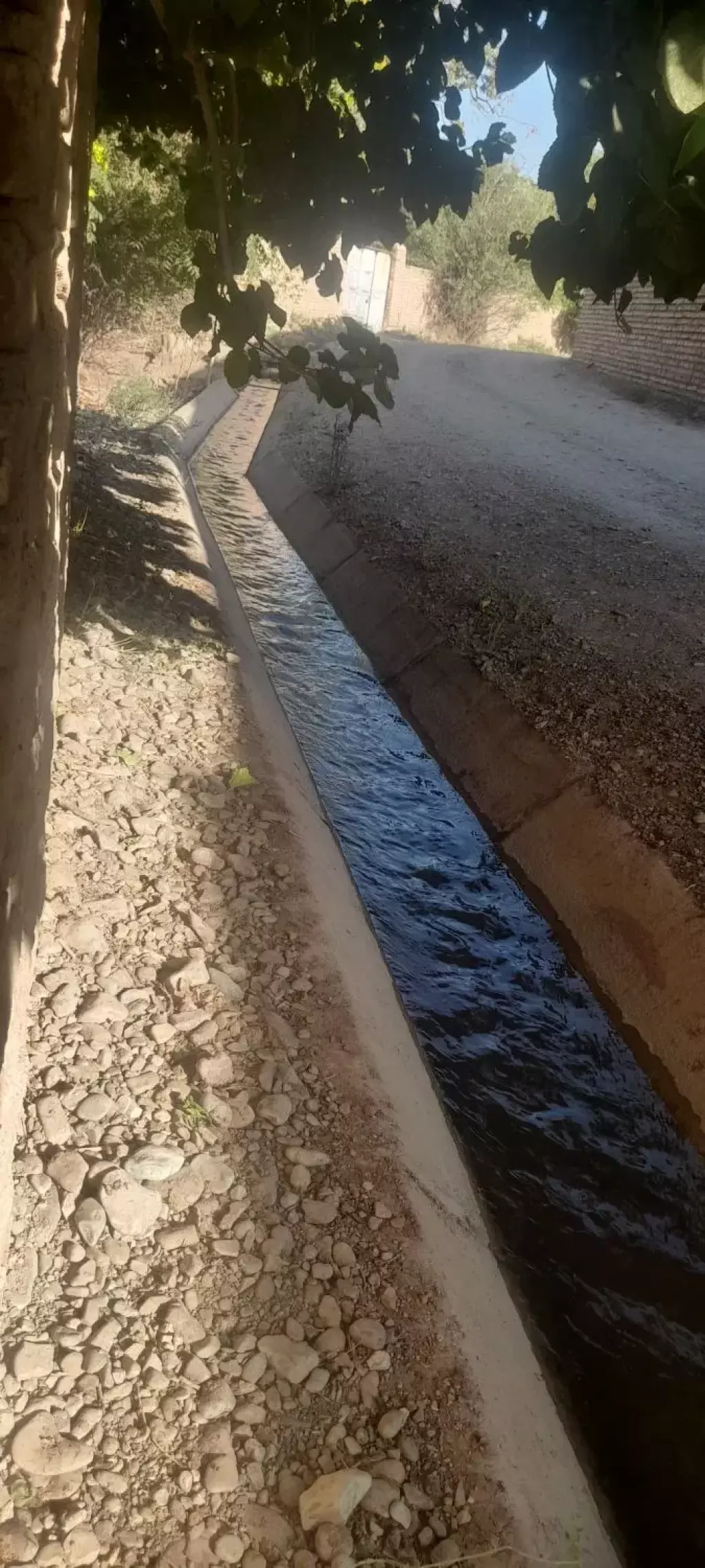 فروش اداری و تجاری 2800 متری در شارق - تصویر 4