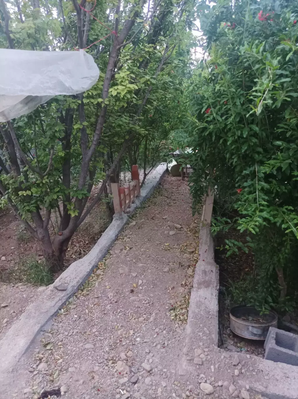 فروش خانه و ویلا 2000 متری در ترمینال غرب - تصویر 9