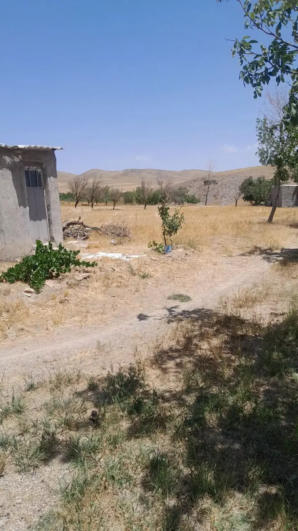 فروش زمین و کلنگی 10000 متری در نعمت‌آباد