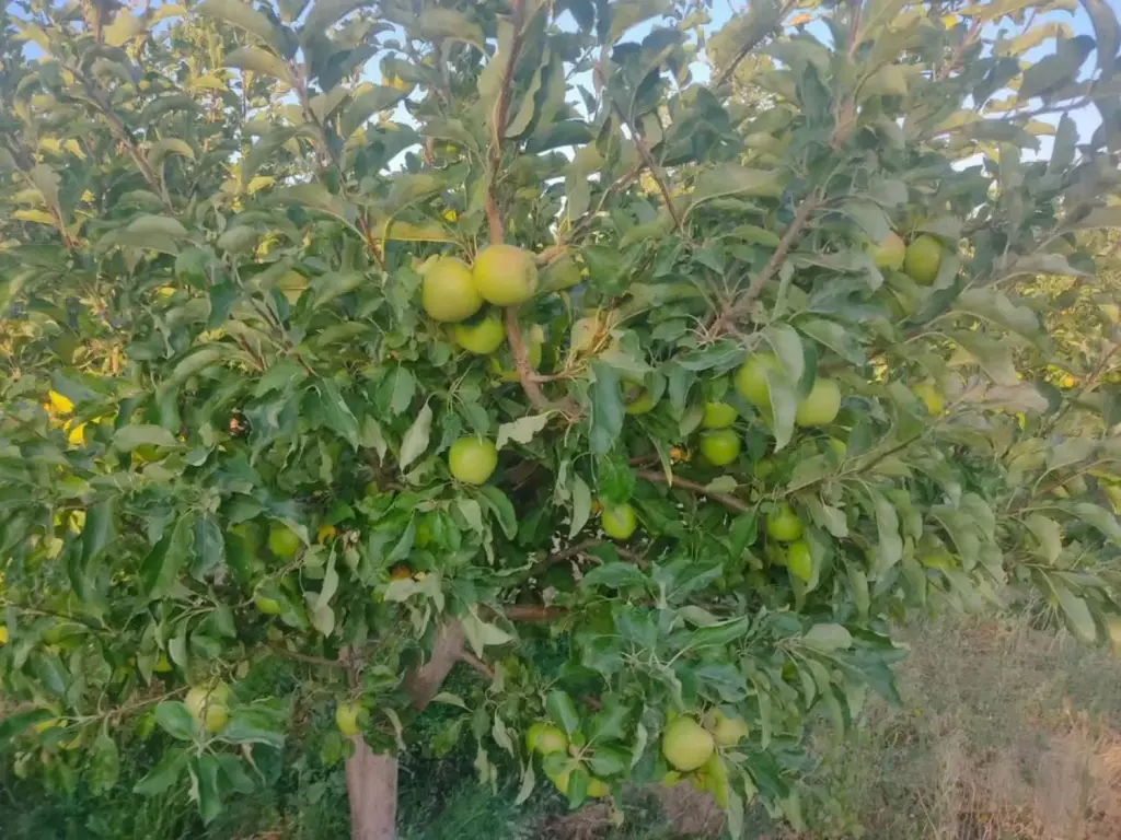 فروش اداری و تجاری 24 متری در شهرک شریعتی - تصویر 2