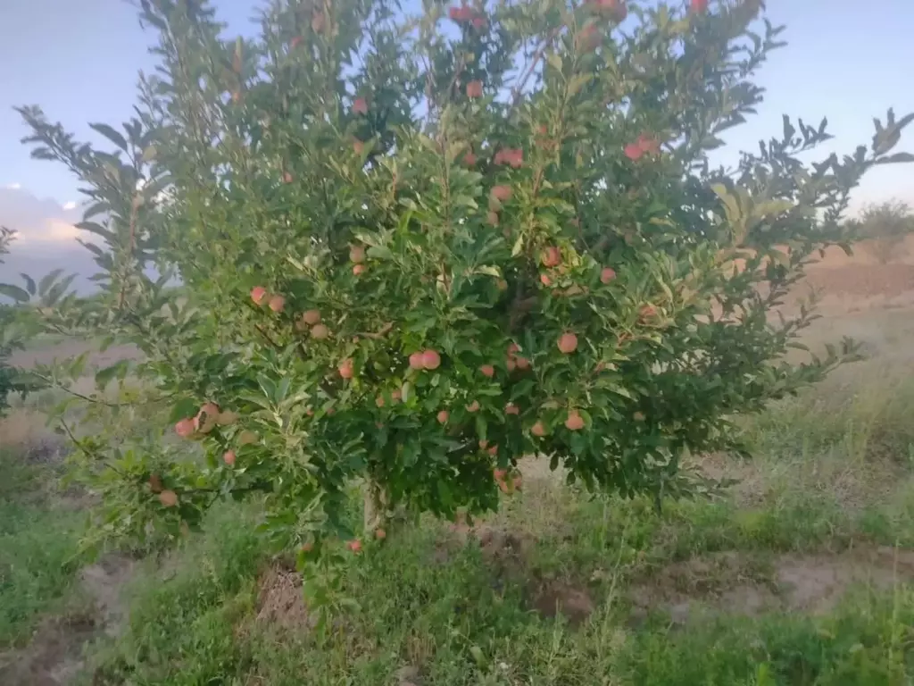 فروش اداری و تجاری 24 متری در شهرک شریعتی - تصویر 8