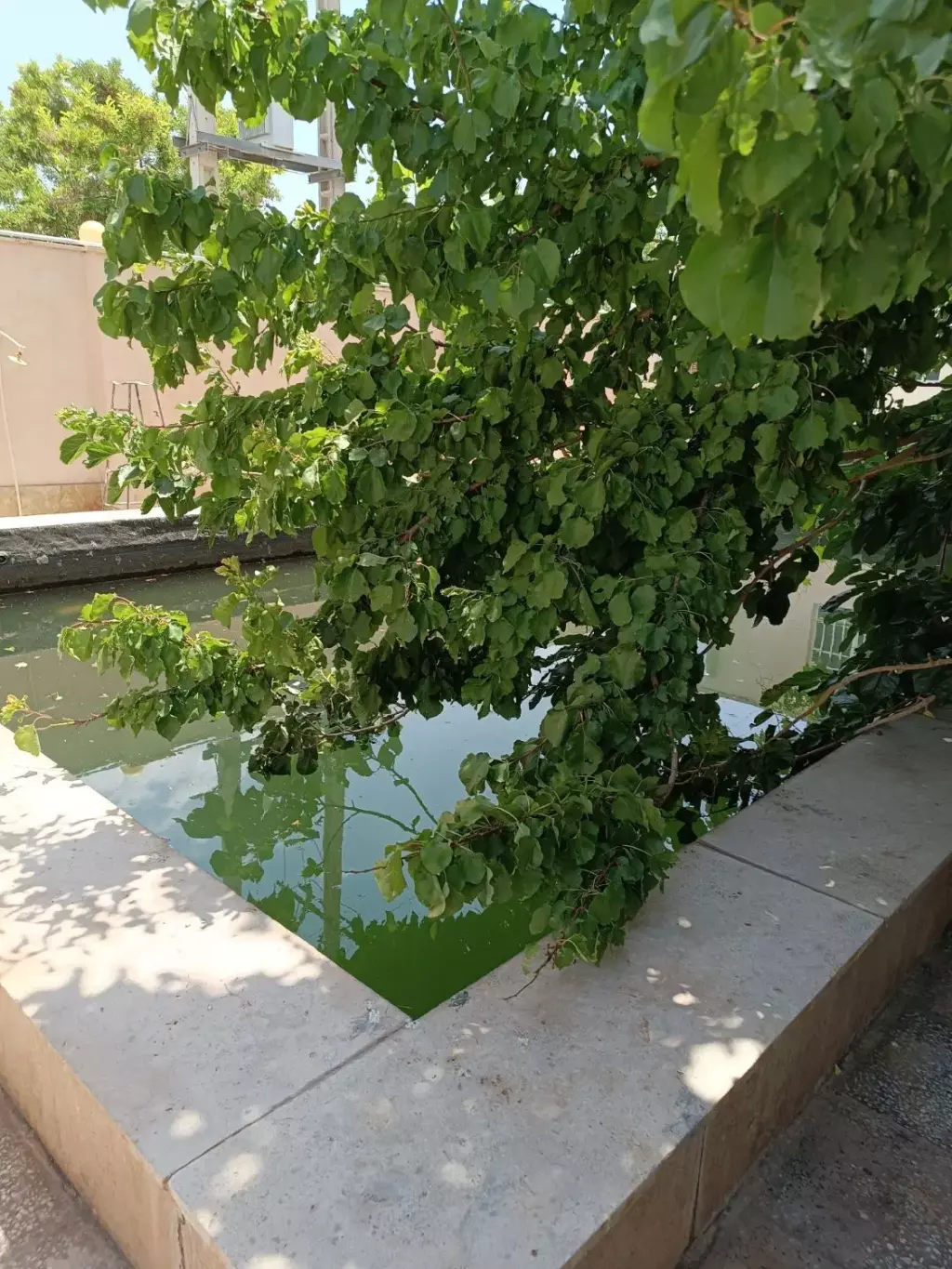 فروش اداری و تجاری 5000 متری در حمزه‌آباد - تصویر 6
