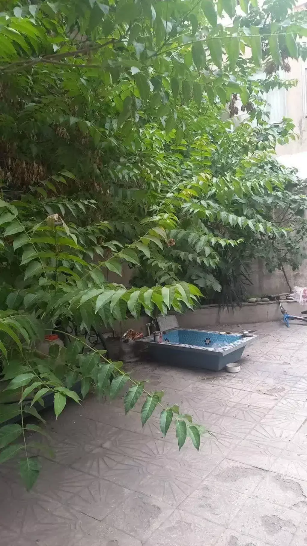 اجاره آپارتمان 150 متری در استاد معین - تصویر 4